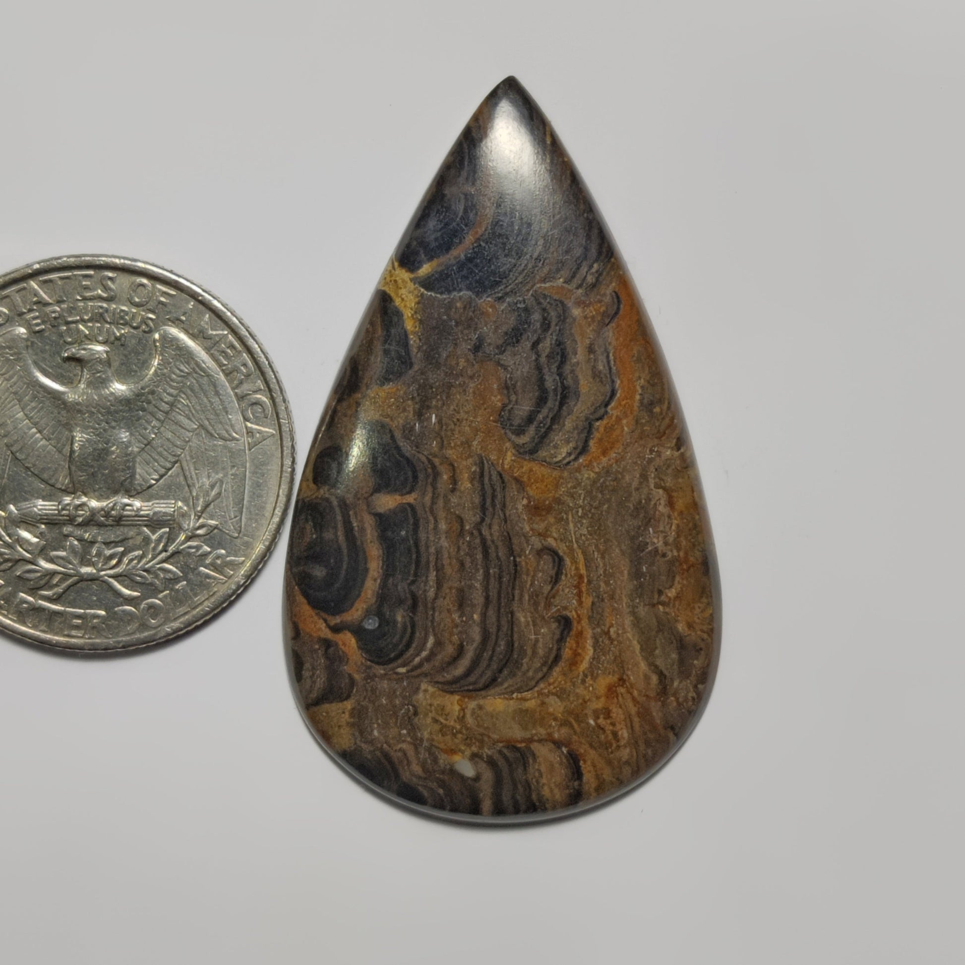 Stromatolite