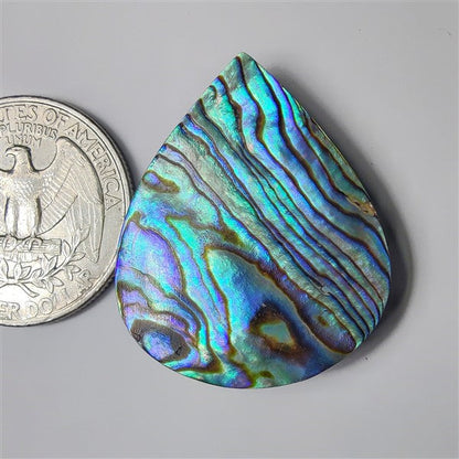 Abalone Shell gemstone cabochon - natural crystal healing stone for jewelry making by SemiPreciousCabs