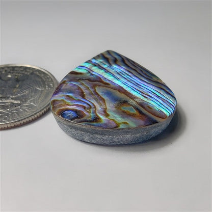 Abalone Shell gemstone cabochon - natural crystal healing stone for jewelry making by SemiPreciousCabs