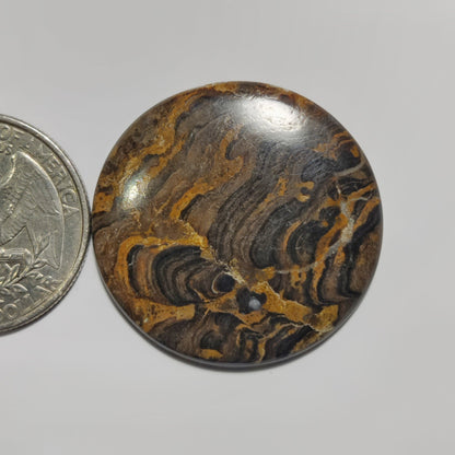 Stromatolite