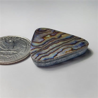 Abalone Shell gemstone cabochon - natural crystal healing stone for jewelry making by SemiPreciousCabs