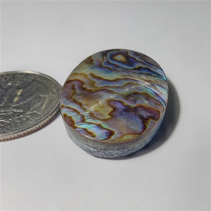 Abalone Shell gemstone cabochon - natural crystal healing stone for jewelry making by SemiPreciousCabs