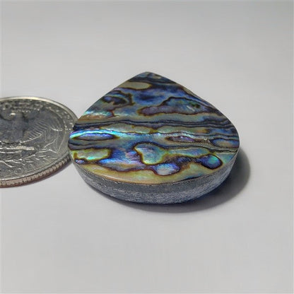 Abalone Shell gemstone cabochon - natural crystal healing stone for jewelry making by SemiPreciousCabs