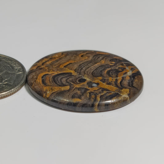 Stromatolite