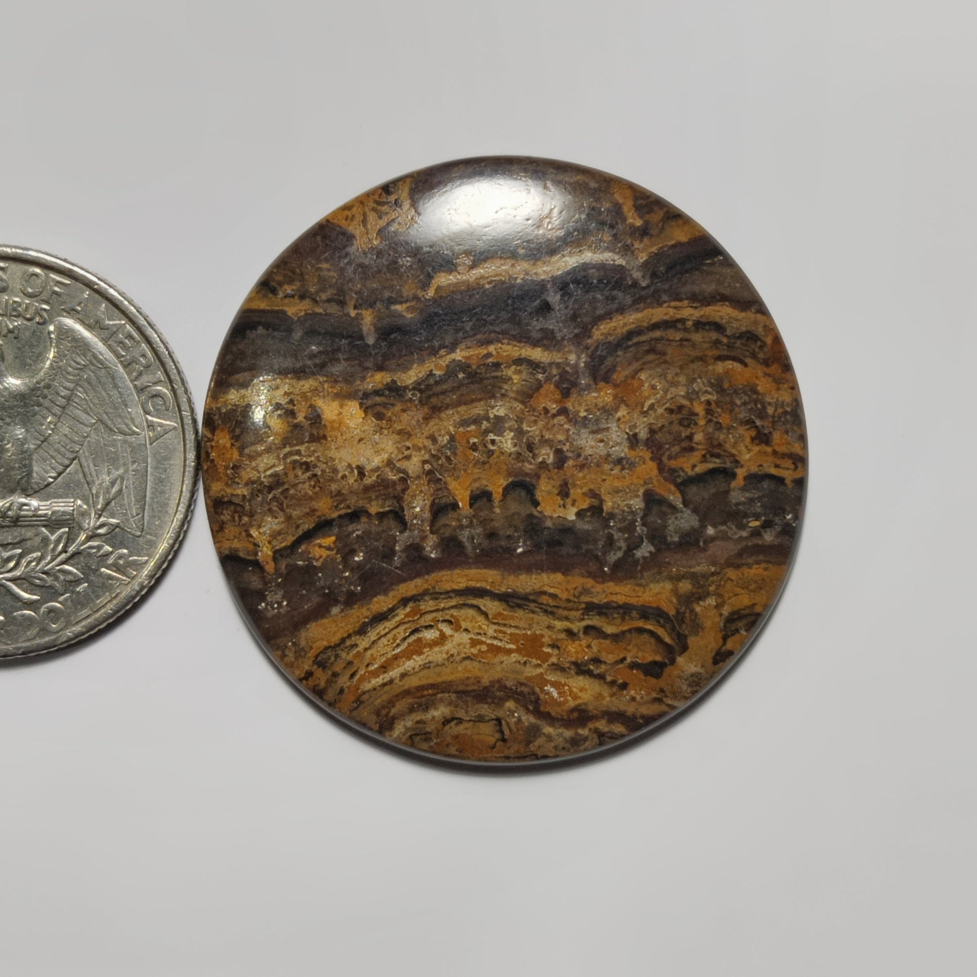 Stromatolite