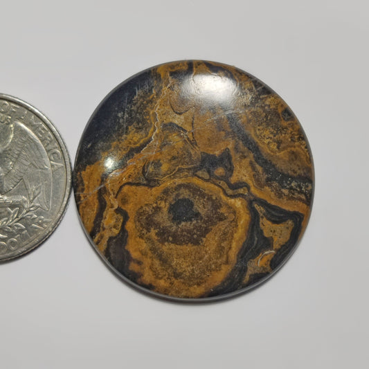 Stromatolite