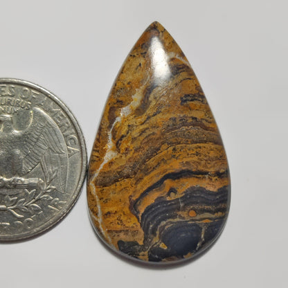 Stromatolite