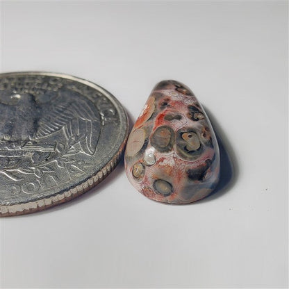 Leopard Skin Jasper gemstone cabochon - natural crystal healing stone for jewelry making by SemiPreciousCabs