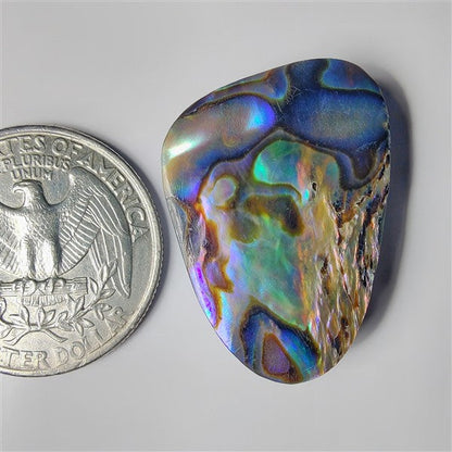 Abalone Shell gemstone cabochon - natural crystal healing stone for jewelry making by SemiPreciousCabs