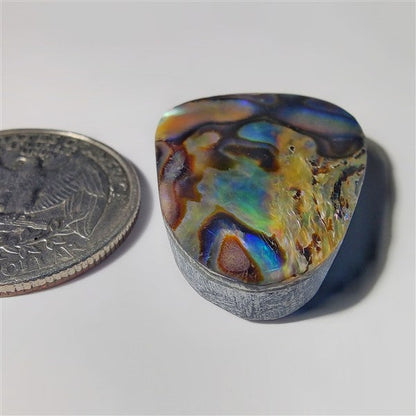 Abalone Shell gemstone cabochon - natural crystal healing stone for jewelry making by SemiPreciousCabs