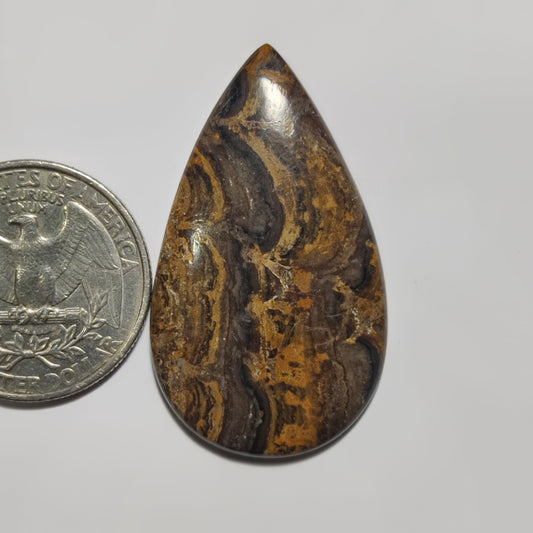 Stromatolite
