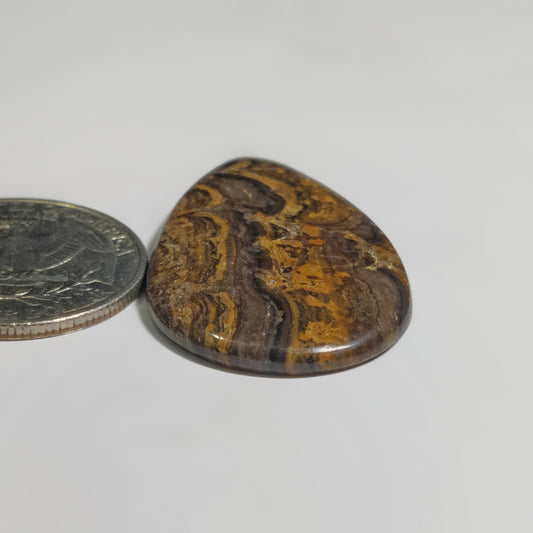 Stromatolite