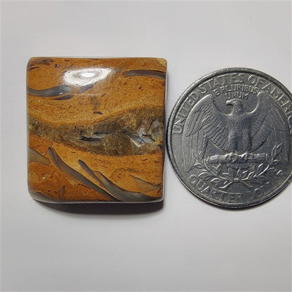 Mariyam Jasper gemstone cabochon - natural crystal healing stone for jewelry making by SemiPreciousCabs