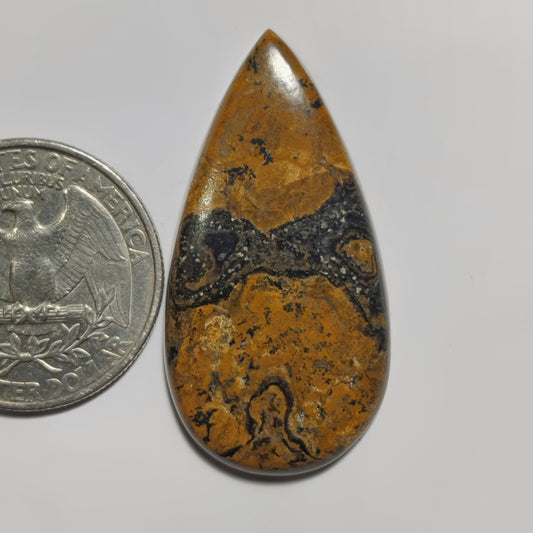 Stromatolite