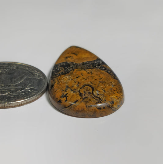 Stromatolite