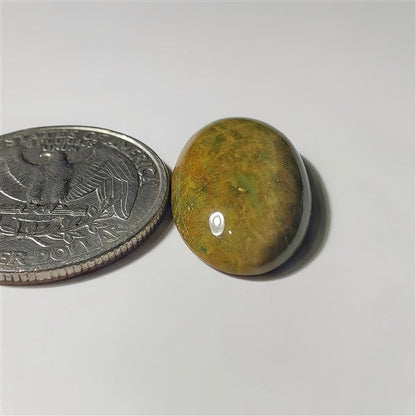 Ocean Jasper gemstone cabochon - natural crystal healing stone for jewelry making by SemiPreciousCabs