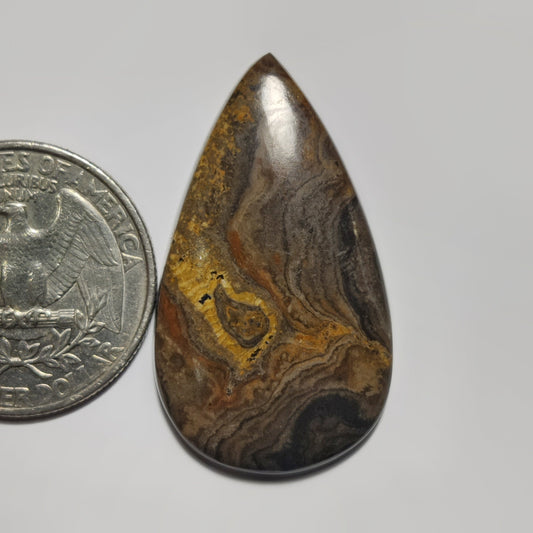 Stromatolite