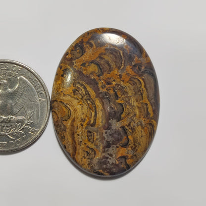 Stromatolite