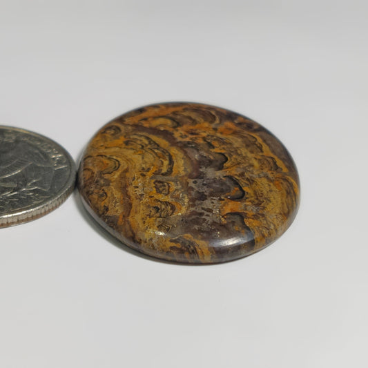 Stromatolite