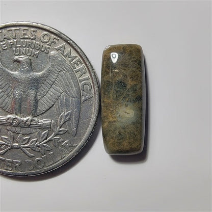 Fossil Coral gemstone cabochon - natural crystal healing stone for jewelry making by SemiPreciousCabs