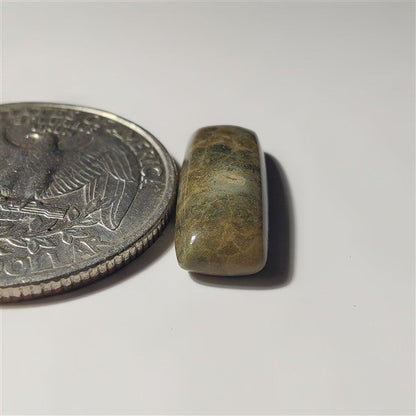 Fossil Coral gemstone cabochon - natural crystal healing stone for jewelry making by SemiPreciousCabs