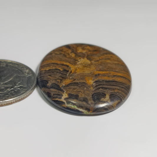 Stromatolite