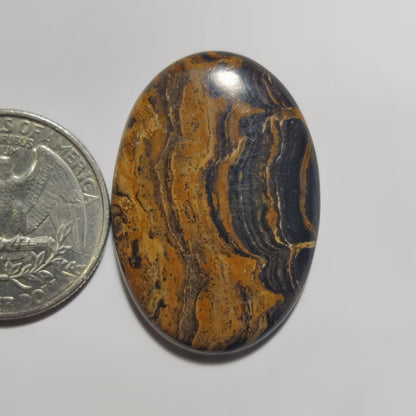 Stromatolite