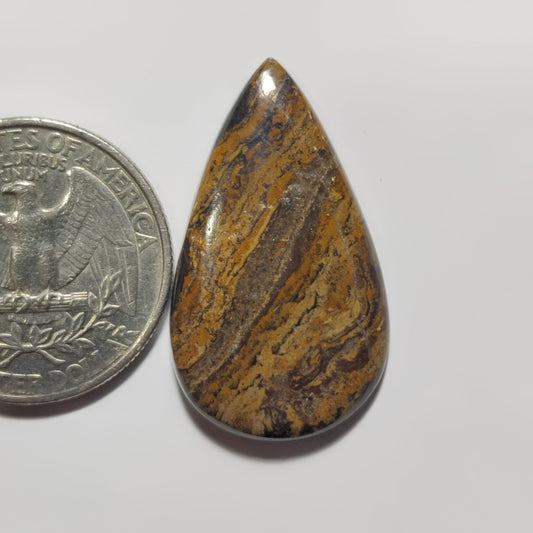 Stromatolite