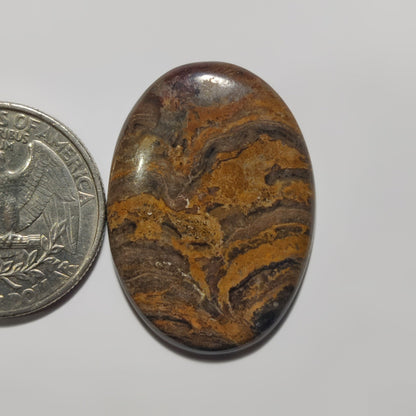 Stromatolite
