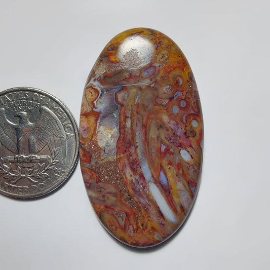 Palm Root Agate