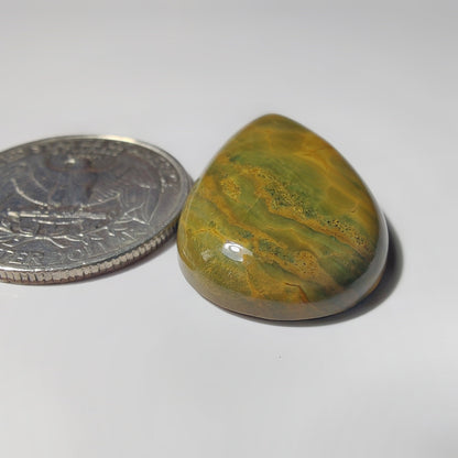 Ocean Jasper gemstone cabochon - natural crystal healing stone for jewelry making by SemiPreciousCabs