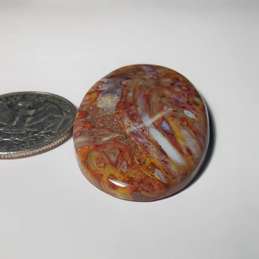 Palm Root Agate