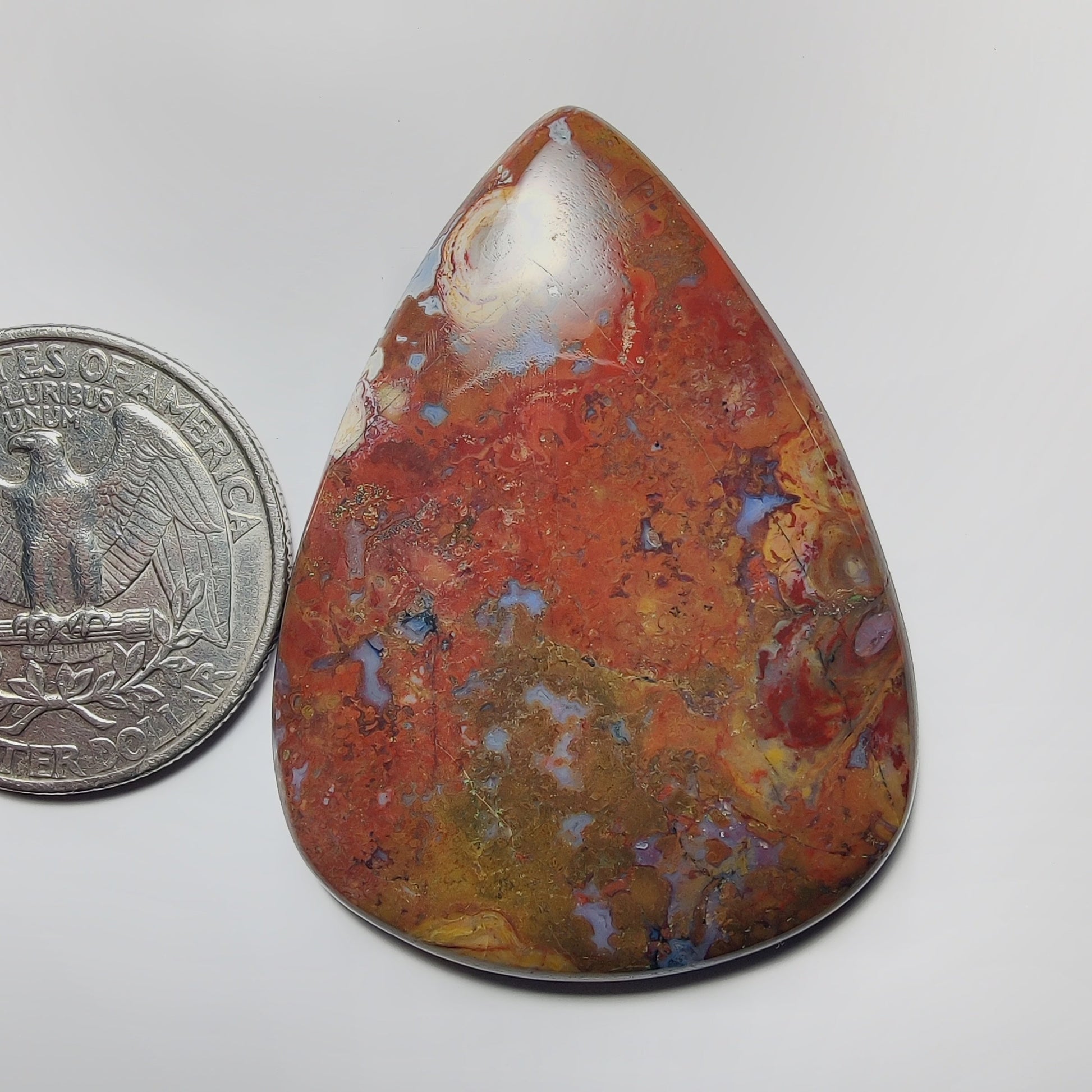 Palm Root Agate