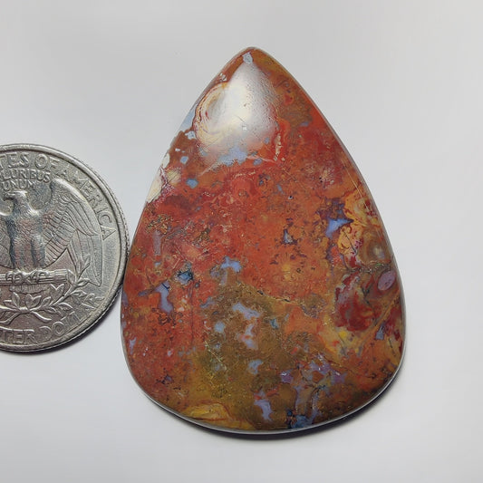 Palm Root Agate