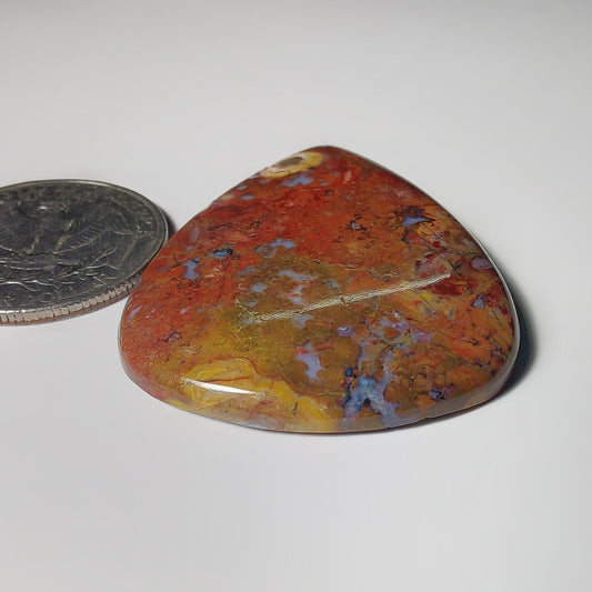 Palm Root Agate