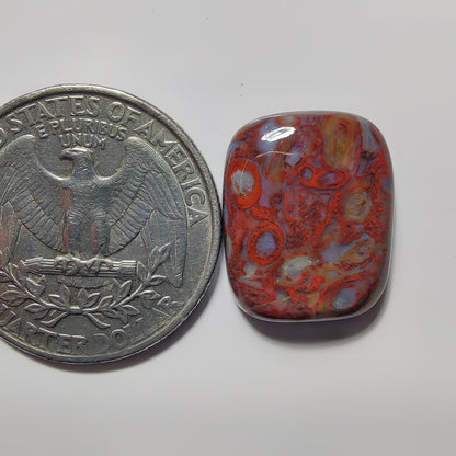 Palm Root Agate gemstone cabochon - natural crystal healing stone for jewelry making by SemiPreciousCabs