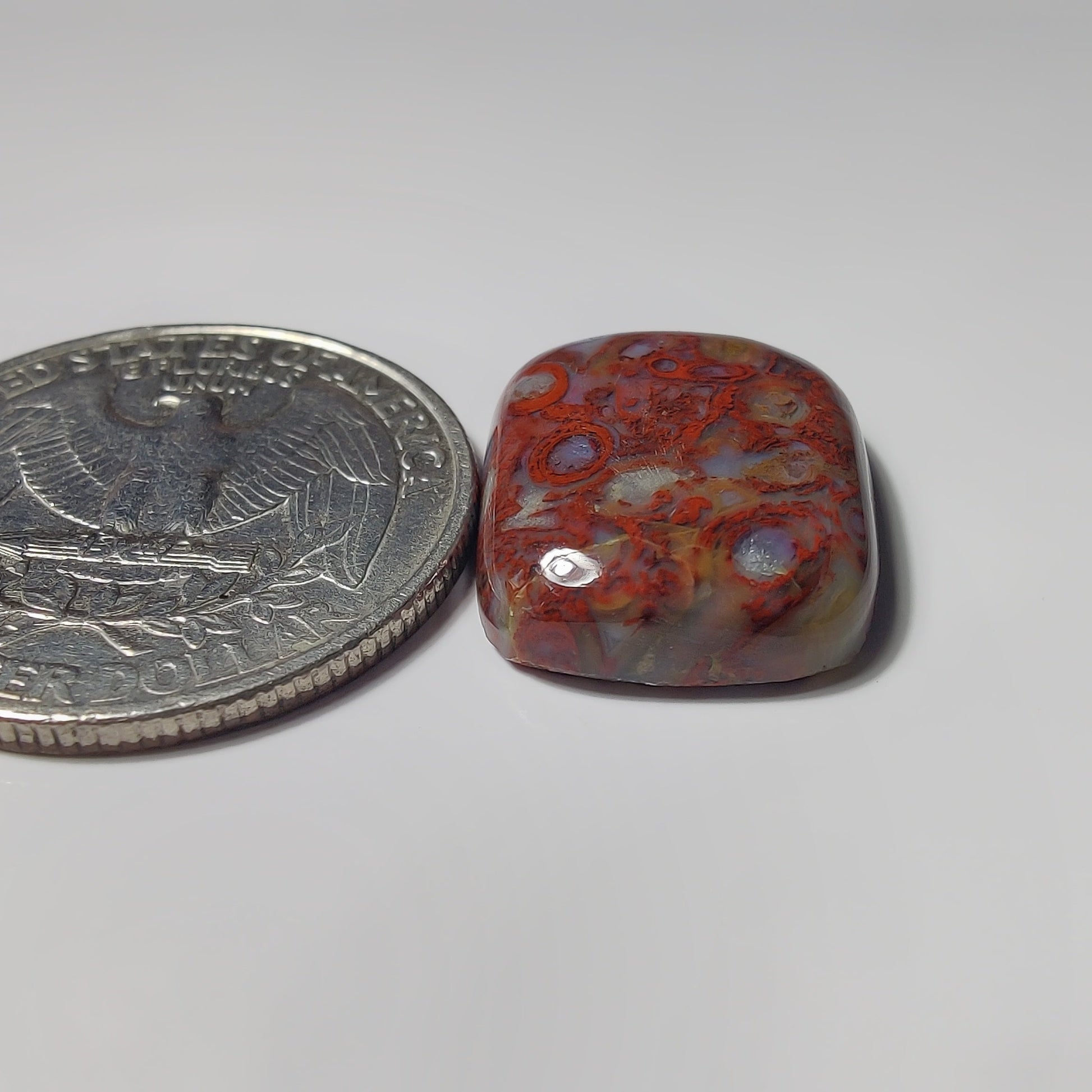 Palm Root Agate gemstone cabochon - natural crystal healing stone for jewelry making by SemiPreciousCabs