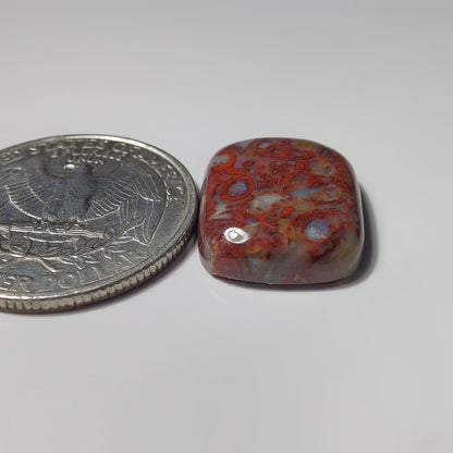 Palm Root Agate gemstone cabochon - natural crystal healing stone for jewelry making by SemiPreciousCabs