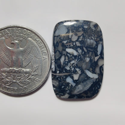 Orthoceras Jasper gemstone cabochon - natural crystal healing stone for jewelry making by SemiPreciousCabs