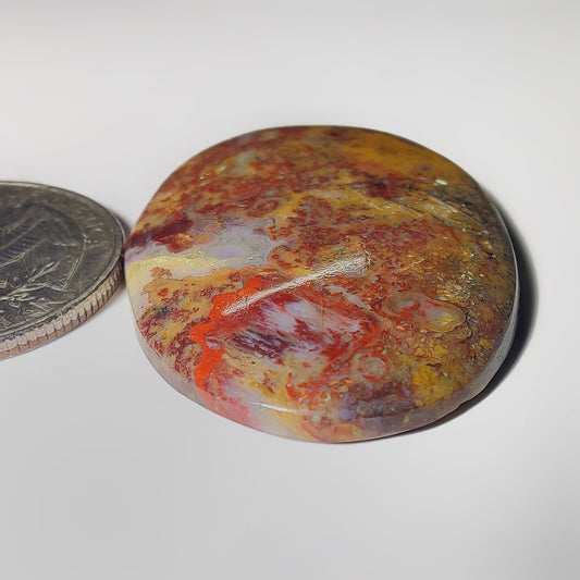 Palm Root Agate