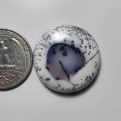 Dendritic Agate