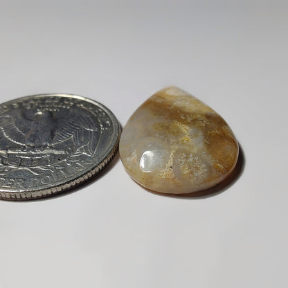 Fossils Coral gemstone cabochon - natural crystal healing stone for jewelry making by SemiPreciousCabs