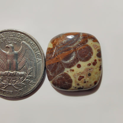 Asteroid Jasper gemstone cabochon - natural crystal healing stone for jewelry making by SemiPreciousCabs