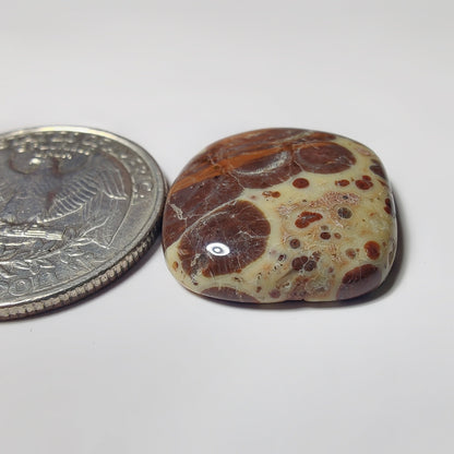 Asteroid Jasper gemstone cabochon - natural crystal healing stone for jewelry making by SemiPreciousCabs