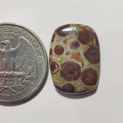 Asteroid Jasper gemstone cabochon - natural crystal healing stone for jewelry making by SemiPreciousCabs