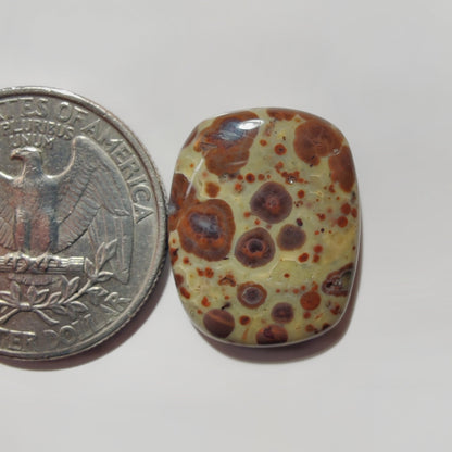 Asteroid Jasper gemstone cabochon - natural crystal healing stone for jewelry making by SemiPreciousCabs