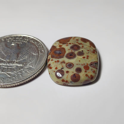 Asteroid Jasper gemstone cabochon - natural crystal healing stone for jewelry making by SemiPreciousCabs