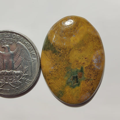 Ocean Jasper gemstone cabochon - natural crystal healing stone for jewelry making by SemiPreciousCabs