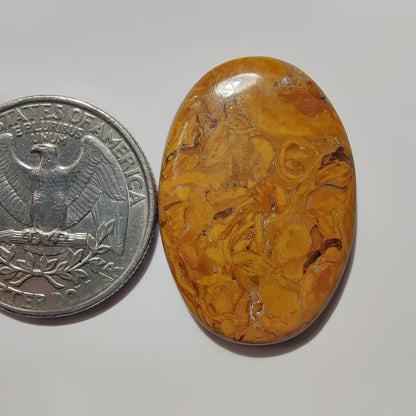 Mariam Jasper gemstone cabochon - natural crystal healing stone for jewelry making by SemiPreciousCabs