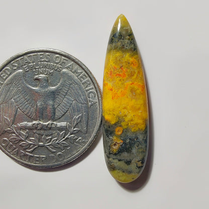 Bumblebee Jasper gemstone cabochon - natural crystal healing stone for jewelry making by SemiPreciousCabs